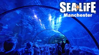 Sea Life Manchester Complete Walkthrough Tour [4K]