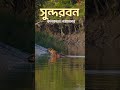 Sundarban to Sikkim Hidden Gems of India | Wayfarer Travelling | Best Travel Destinations 2026