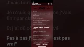 Desole Ion Daut French Lyrics
