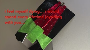 Fast Robots Lab 8 Blooper