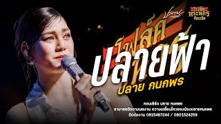 ปลายฟ้า Cover ปลาย กรพนพร (ฟังเพราะๆ เบสแน่นๆ) : คอนเสิร์คปลาย กนกพร & ชวมิตร มิวสิค