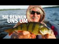 FREQUENZ - Im SOMMER auf BARSCH mit JÖRG OVENS - Fang mal was (50)