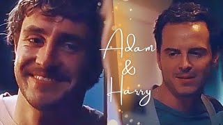 Adam & Harry | it all comes down to this Resimi