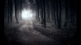 Sofia - Evol