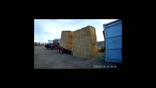 Versatile Pallet Trailer Unloading Hay