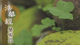 【靜思妙蓮華】法華經譬喻品 - 真如本性 體具萬德 - 20201126 第569集