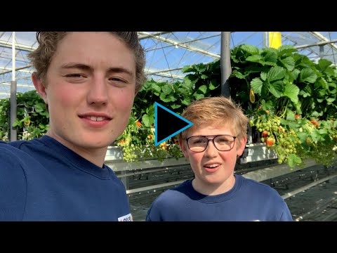 Maxim & Quint vol passie over de aardbei! 🍓