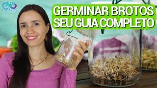 Germine qualquer semente e viva melhor | GUIA COMPLETO DA GERMINAÇÃO DE BROTOS