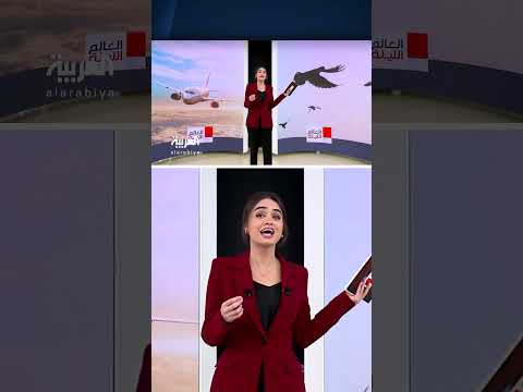 حمامة تُحدث فوضى وتُؤخر إقلاع طائرة أمريكية