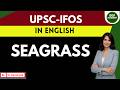 Seagrass Ecosystems: Blue Carbon & Marine Biodiversity | UPSC Environment I UPSC English Medium