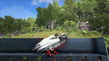 Ark survival Asylum Extinction7! Solo on foot Alpha Argi tame! Prime Dung Beetle!