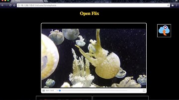 Cloud Based Video Streaming Service