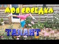 Талантливый ребенок.Лучше всех!Детский талант.Talented child.У меня такая соседка Лизавета.Asbestos