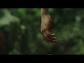 Zach Yuto - Cliff (Official Video)