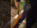 (8) 森で最悪なエリアを、最高の場所に開拓！　野営を楽しみながら、山小屋の材料加工を進める。