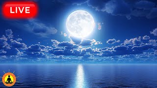  Deep Sleep Music 24/7, Meditation Music, Sleep Music, Insomnia, Relax, Zen, Study Music, Rain