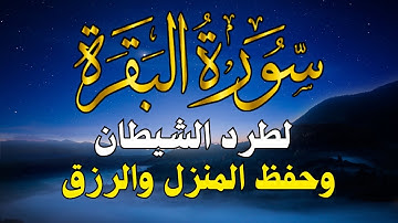 سورة البقرة 💓 أستمع بنية الرزق والبركة وطرد الشيطان ~ تلاوة تلامس الروح💕