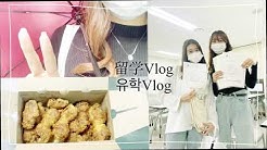 ほのぼの韓国留学日記 호노보노 한국유학 일기 Youtube