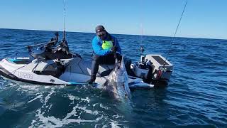 Catching a Marlin from a Jetski in New Zealand
