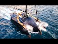 Les meilleurs yachts trimaran