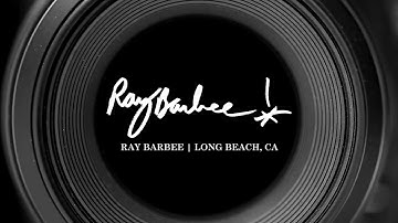 RAY BARBEE - THE ELEMENT PERSPECTIVE