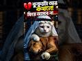 💔 কুকুরটা আর কখনো ফিরে আসবে না… #cat #viral #aivideo #shorts #youtube