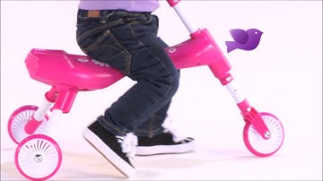 Scuttle & Scramble Bugs Video