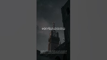 تلاوة خاشعة من سورة الفتح