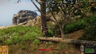 New World Queue Simulator