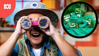 rainforest animal adventure play school