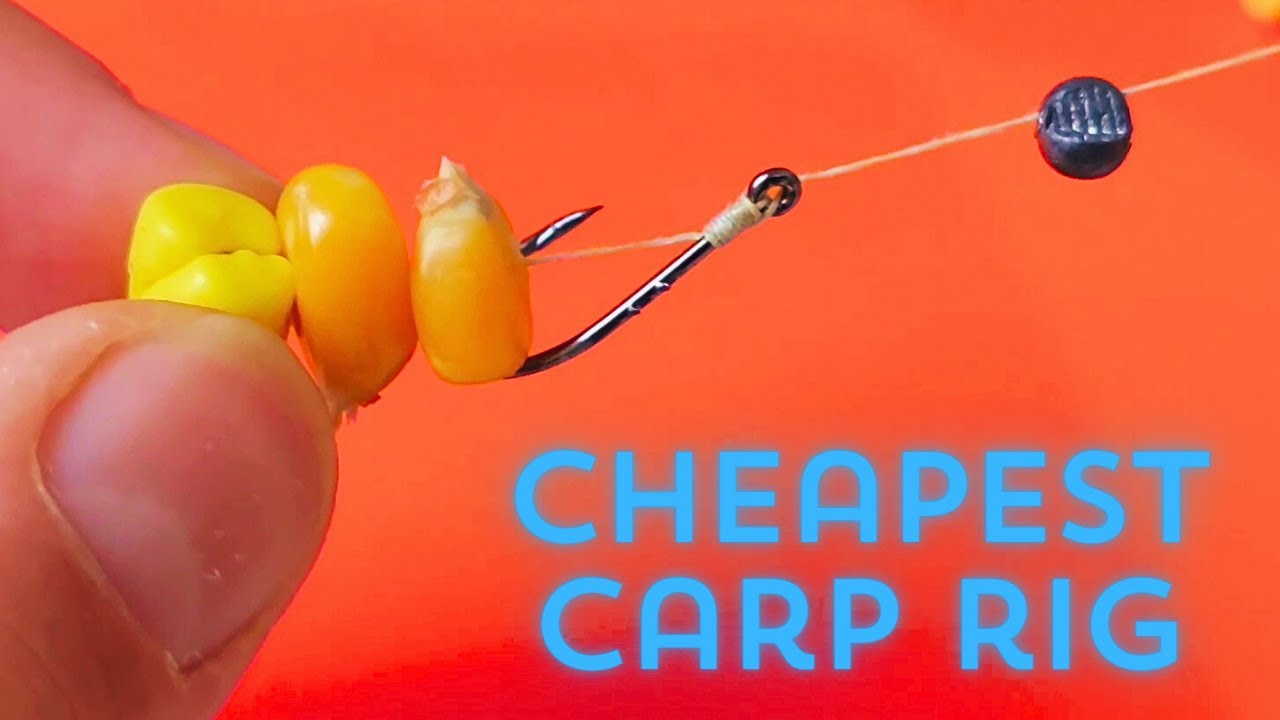 How To Tie A EASIEST Carp Fishing Rig - Carp Fishing with CHEAP MATERIALS 