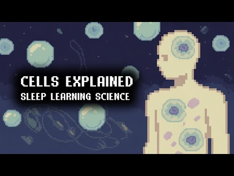 How Cells Work Together 3 Hour Biology Lecture For Sleep