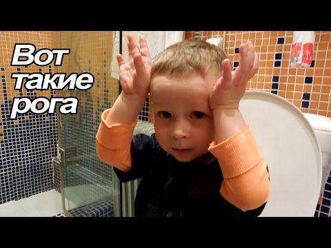 VLOG: Сажаем газон / Кушаем пирожки / Новые елочки