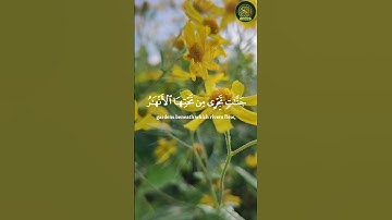 و من أصدق من الله قيلا  - القارئ ياسر الدوسري #yasseraldossary #ياسر_الدوسري #quran #المصحف #اكسبلور