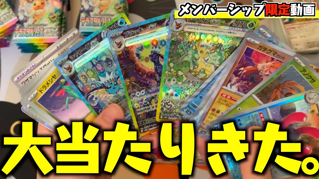 メン限】テラスタルフェス開封します！再録あざっすカード多くて 