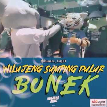 Persebaya dan persib jojo,zoro dan simba