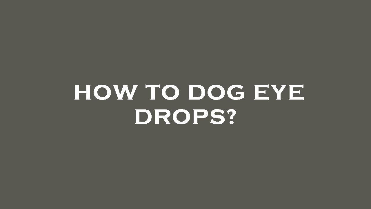 How to dog eye drops? YouTube