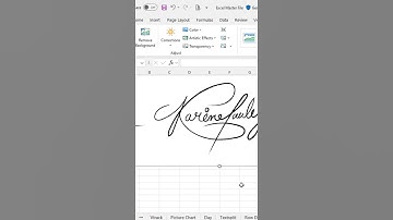 📌 How to Add Signature in Excel | Step-by-Step Tutorial 📌 #excel #spreadsheetmagic #jobapplication