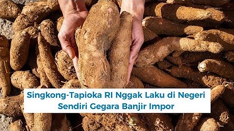 Cassave en tapioca uit Indonesië verkopen in eigen land slecht vanwege de grote importstromen.