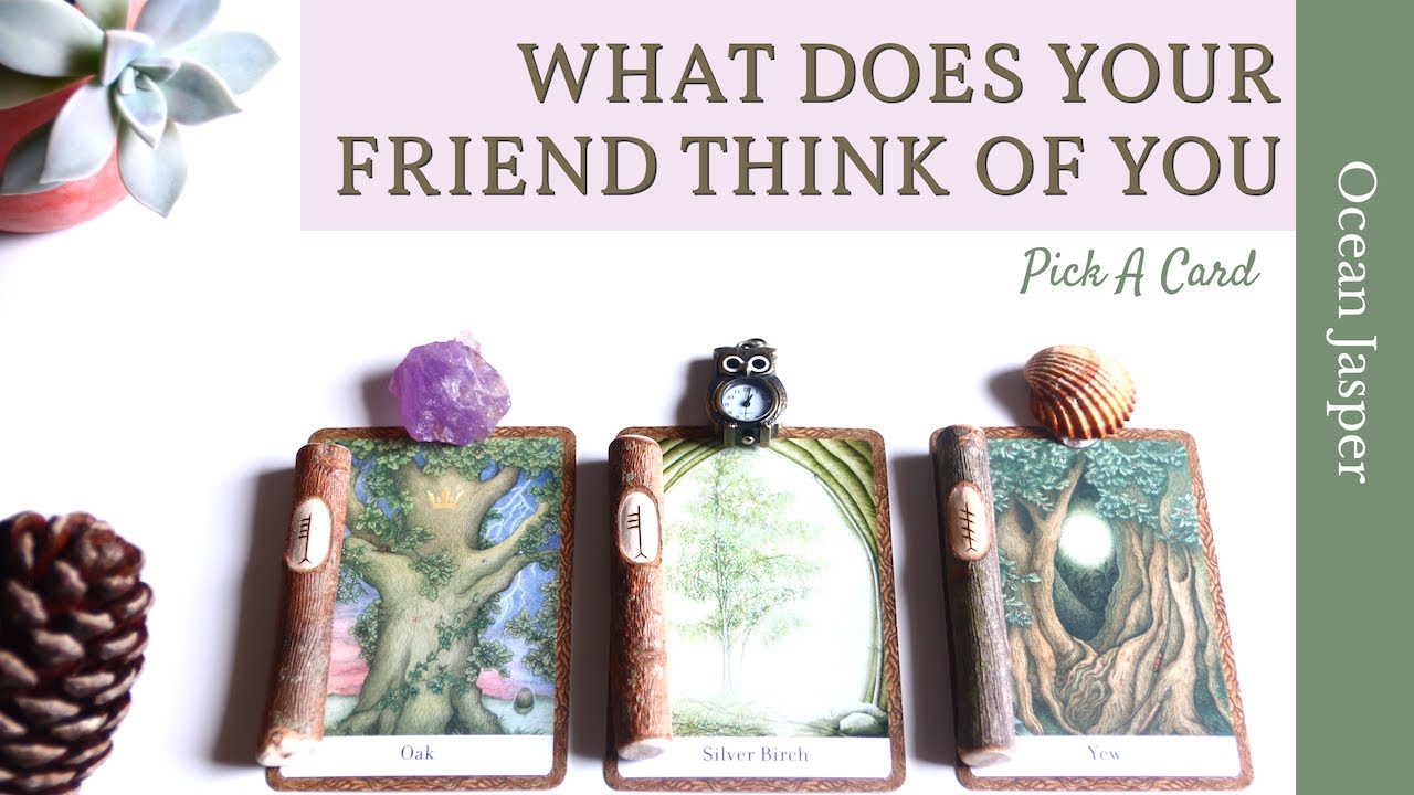 WHAT DOES YOUR FRIEND THINK OF YOU? Pick A Card Timeless Tarot Reading 🌿 + oracle and ogham
