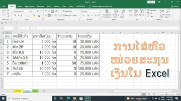 การไส่สกุลเงินใน Excel ,​ ການໄສ່ສະກຸນເງີນໃນ Excel