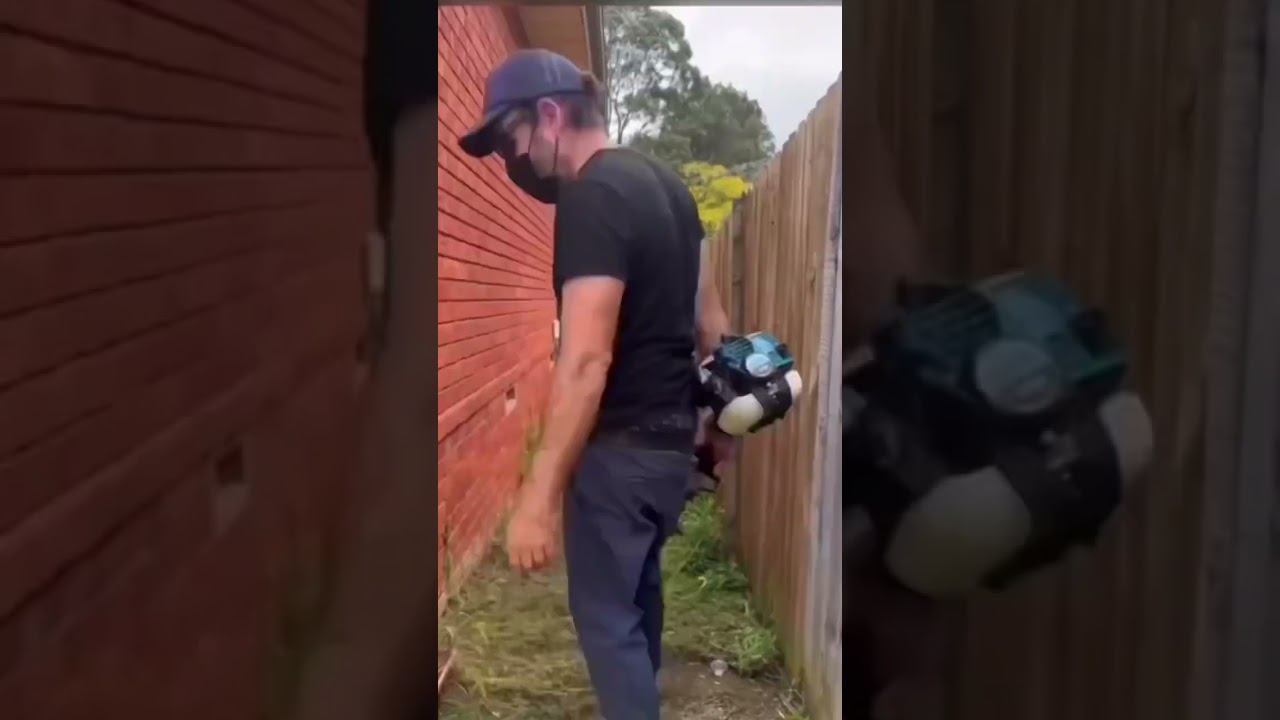 Australia’s most Satisfying shorts 