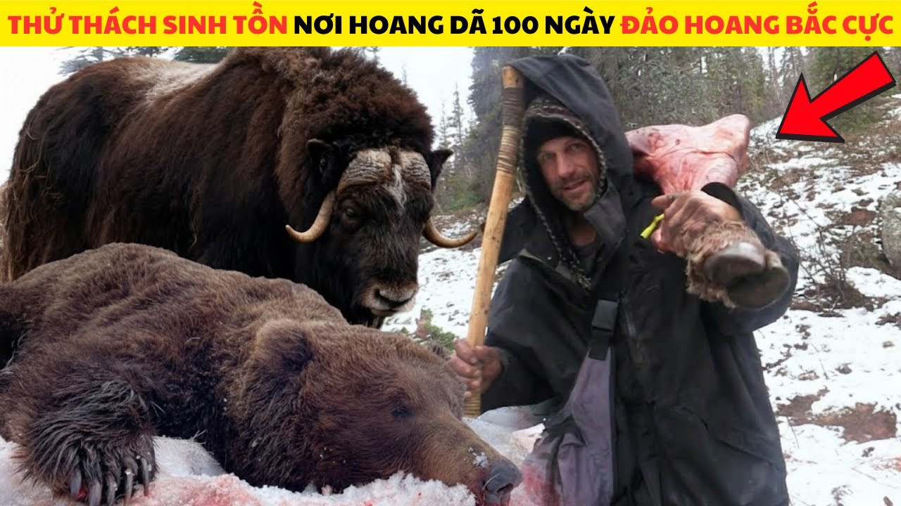 Thử Thách Sinh Tồn Nơi Hoang Dã Bắc Cực Săn Bò Tót Khổng Lồ Full Mùa