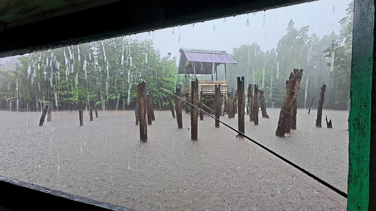 Fishing camp hujan deras di spot gubuk tua terbengkalai yang menjadi sarang ikan baramundi