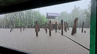 Download Lagu Fishing camp hujan deras di spot gubuk tua terbengkalai yang menjadi sarang ikan baramundi MP3 Download Lagu Fishing camp hujan deras di spot gubuk tua terbengkalai yang menjadi sarang ikan baramundi MP3