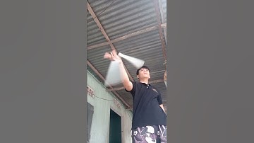 côn nhị khúc na ní VN 🇻🇳