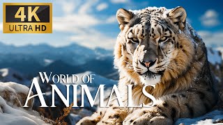 World Of Animals 4K 🐾 Расслабляющий Фильм Discovery С Плавной Фортепианной Музыкой
