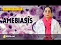 Amebiasis | Entamoeba Histolytica Disease | Infectious Medicine Lectures | V-Learning