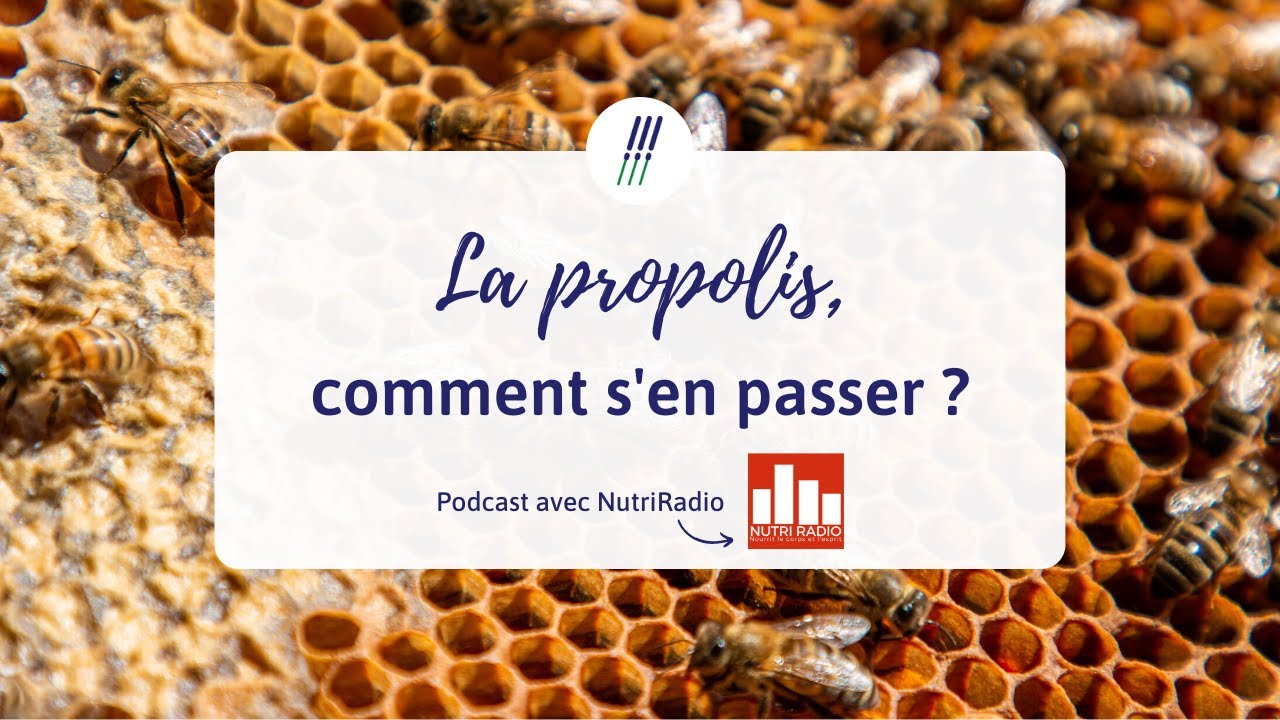 Quels sont les bienfaits de la propolis ? - Podcast