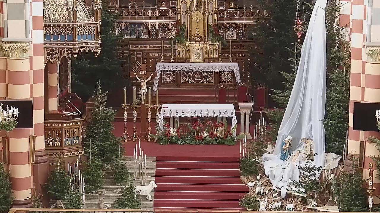 Salezjanie – transmisja na żywo